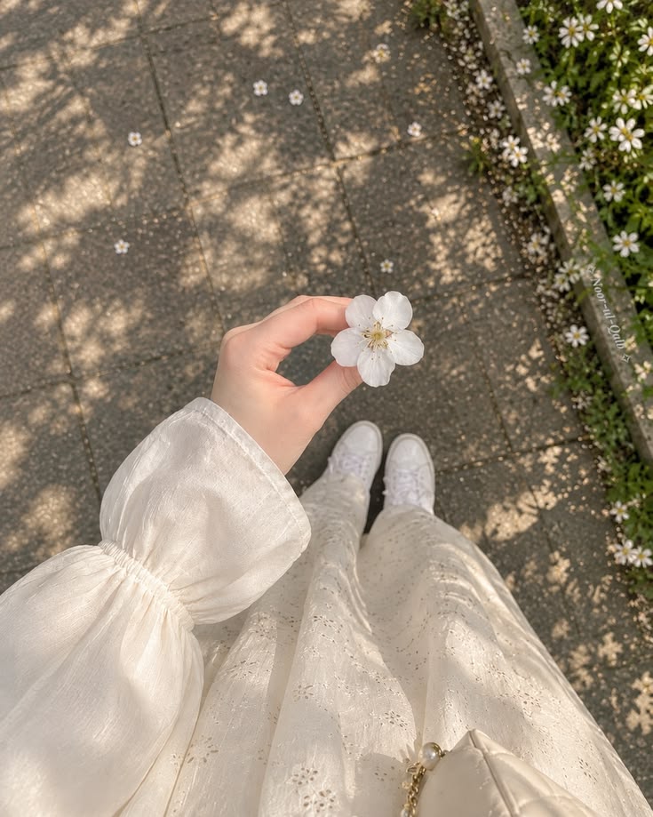 سدرة عليوي