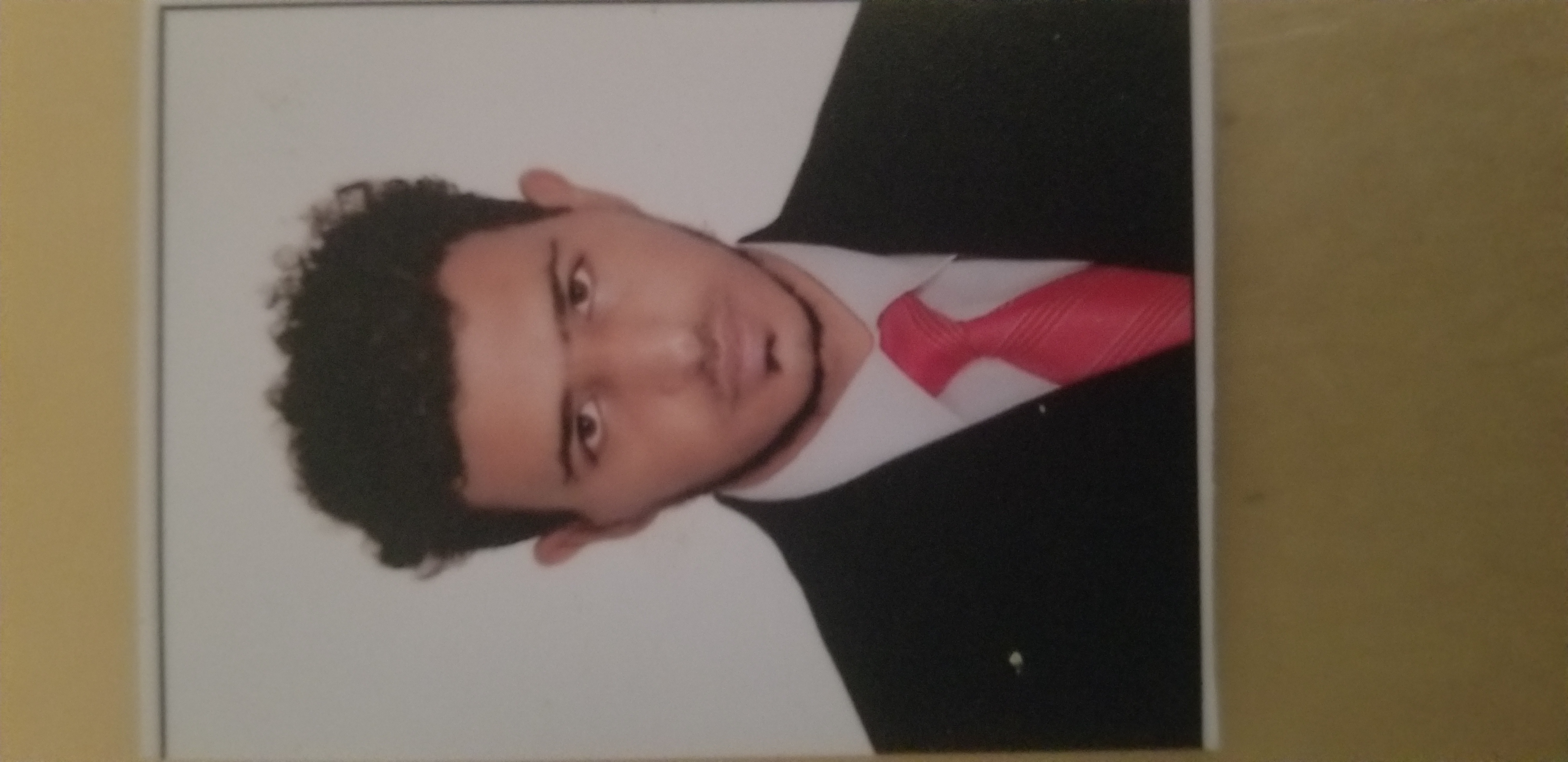 مأمون محمد فضل منصر